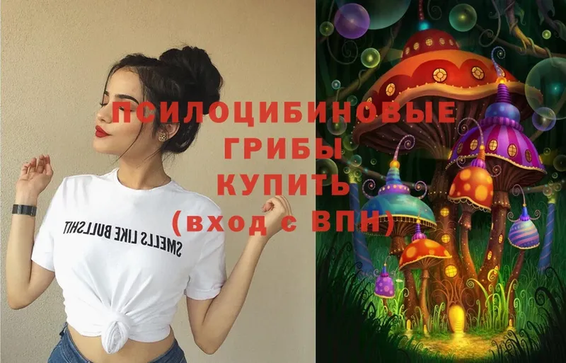 Псилоцибиновые грибы мицелий  Кизилюрт 